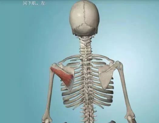 04ca85a8a9e7e2835695f067b839c3fe.jpg