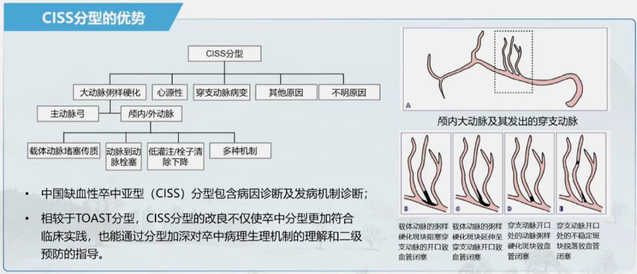 78c398bd2c301f3aa80b2c6c7d227d1d.png