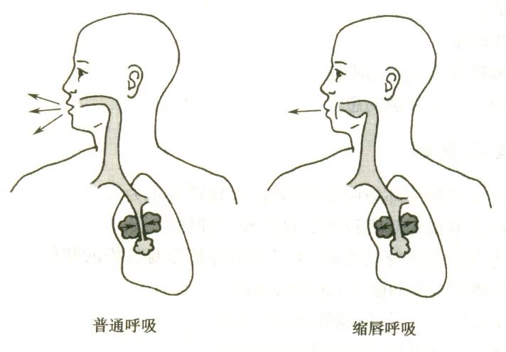 1aae53ab2fb5729fecf72ec4c0b9d20e.jpg