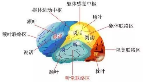 48496e658ef74b9c88d7a7bf34ef51c8.jpg
