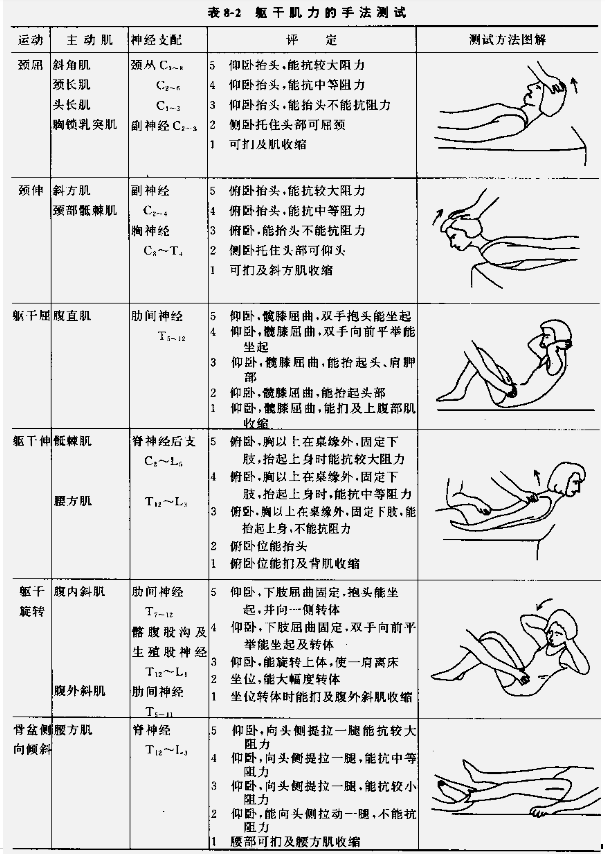 肌力与关节活动度评定图示1