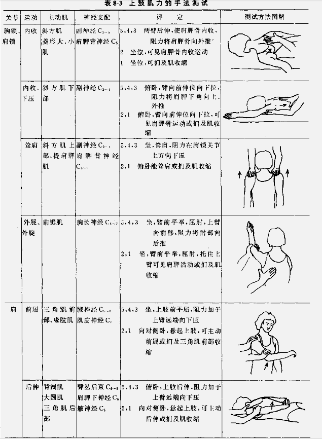 肌力与关节活动度评定图示2