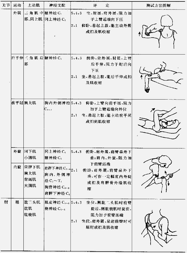 肌力与关节活动度评定图示3