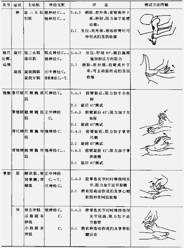 肌力与关节活动度评定图示4