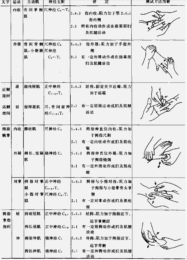 肌力与关节活动度评定图示5