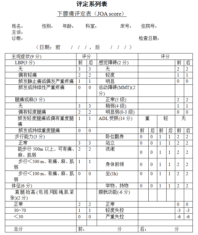 下腰痛评定表1
