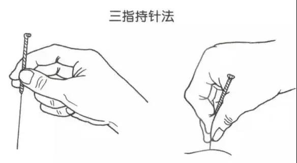 1558410318111090188.jpg