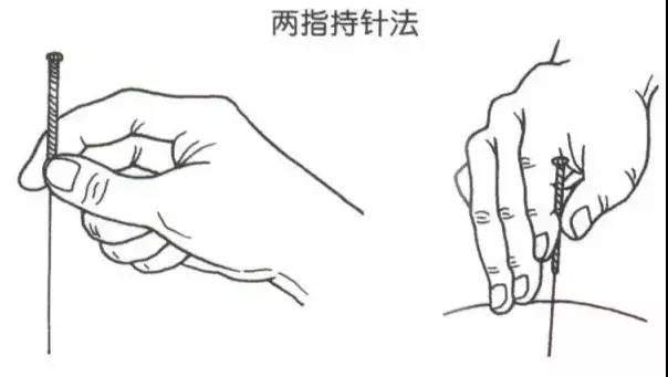 1558410324462022506.jpg